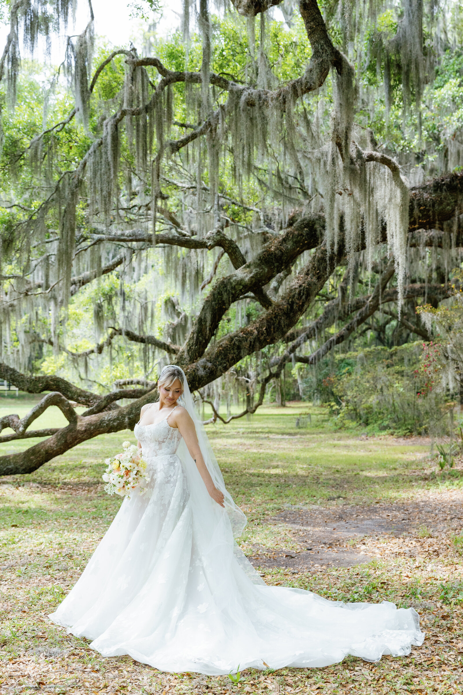 Bridal portrait beneath a live oak